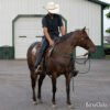 Quarter Horse - "Reba" Bay Roan Mare Quarter Horse