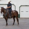 "Reba" Bay Roan Mare Quarter Horse