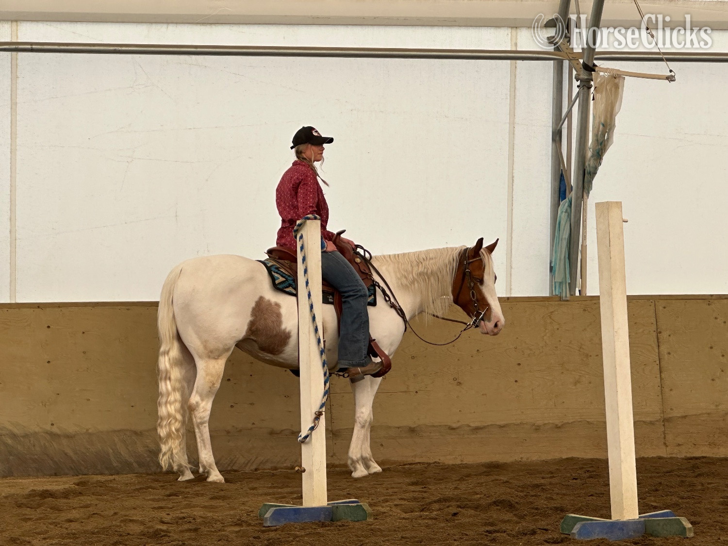 "Little Peppe Encore " Sorrel Mare Paint