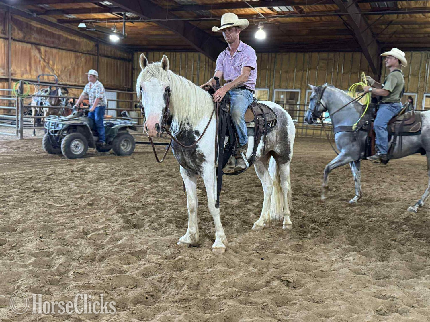 Missouri "Outlaw" Spotted Gelding Gypsy Vanner