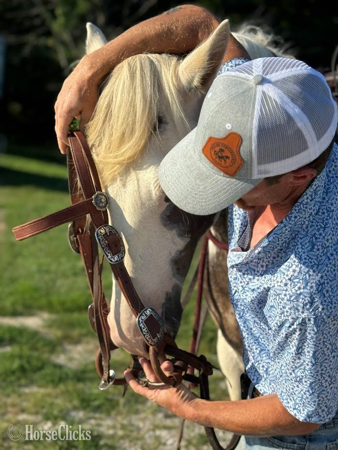 "Outlaw" Spotted Gelding Gypsy Vanner - Gypsy Vanner in Missouri