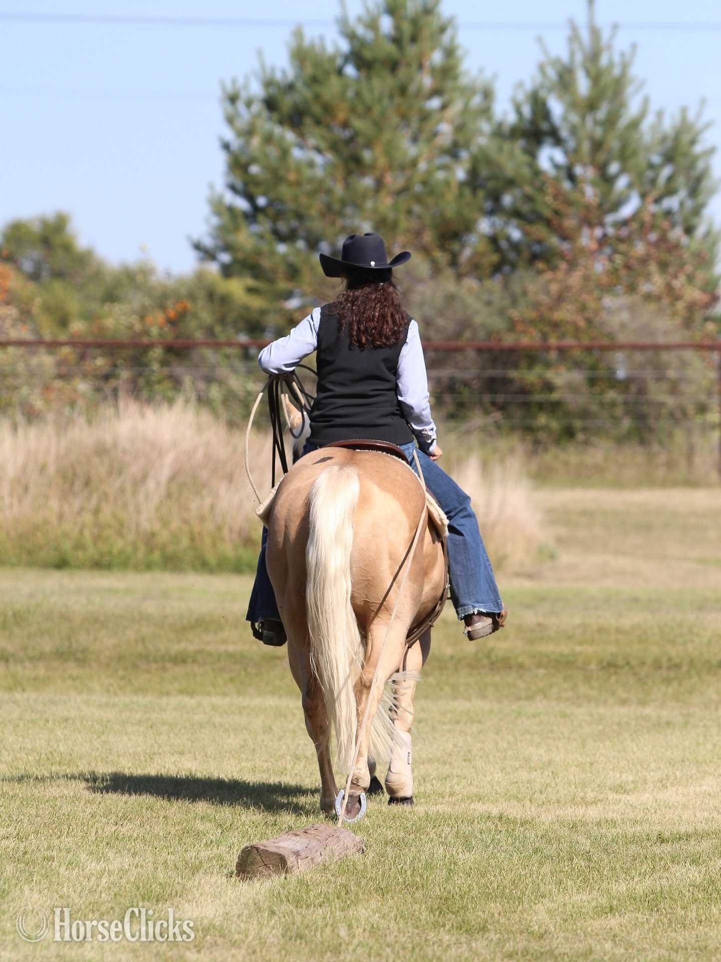 Arkansas "Ducky " Palomino Gelding Quarter Horse