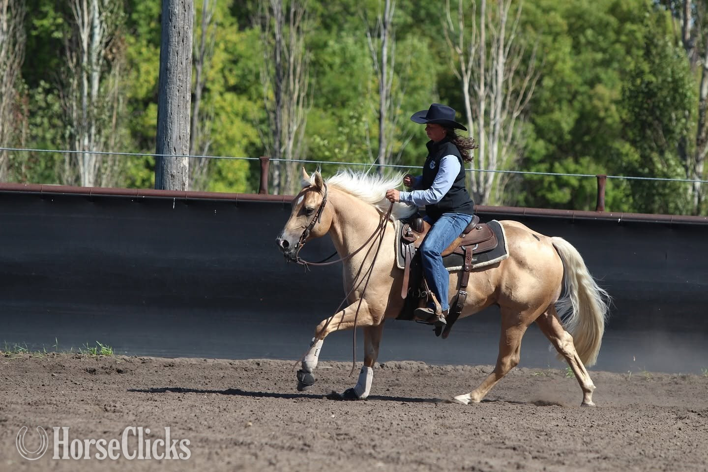 "Ducky " Palomino Gelding Quarter Horse - Quarter Horse