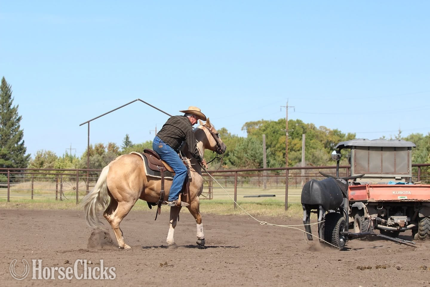 "Ducky " Palomino Gelding Quarter Horse Arkansas