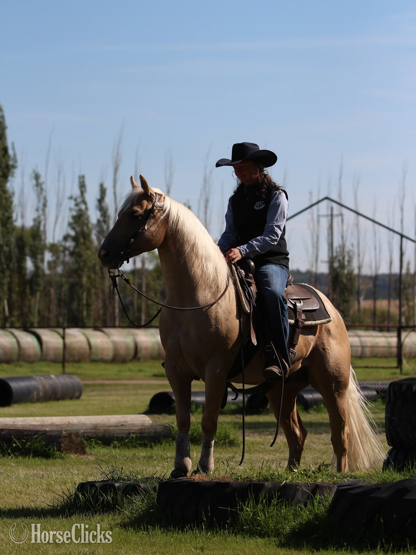 Quarter Horse - "Ducky " Palomino Gelding Quarter Horse in Arkansas