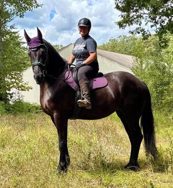 "Cinder (CinderElla Lost Her Stiletto)" Black Mare Friesian