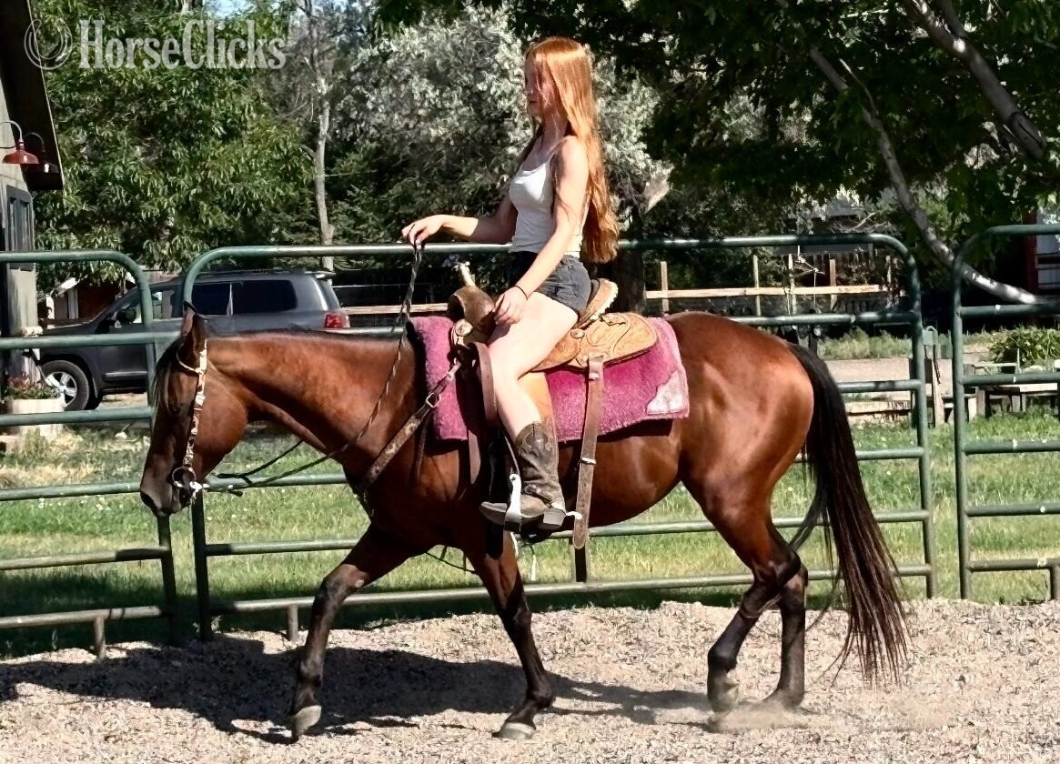 "Glowing Classy Lady" Chestnut Mare Quarter Horse