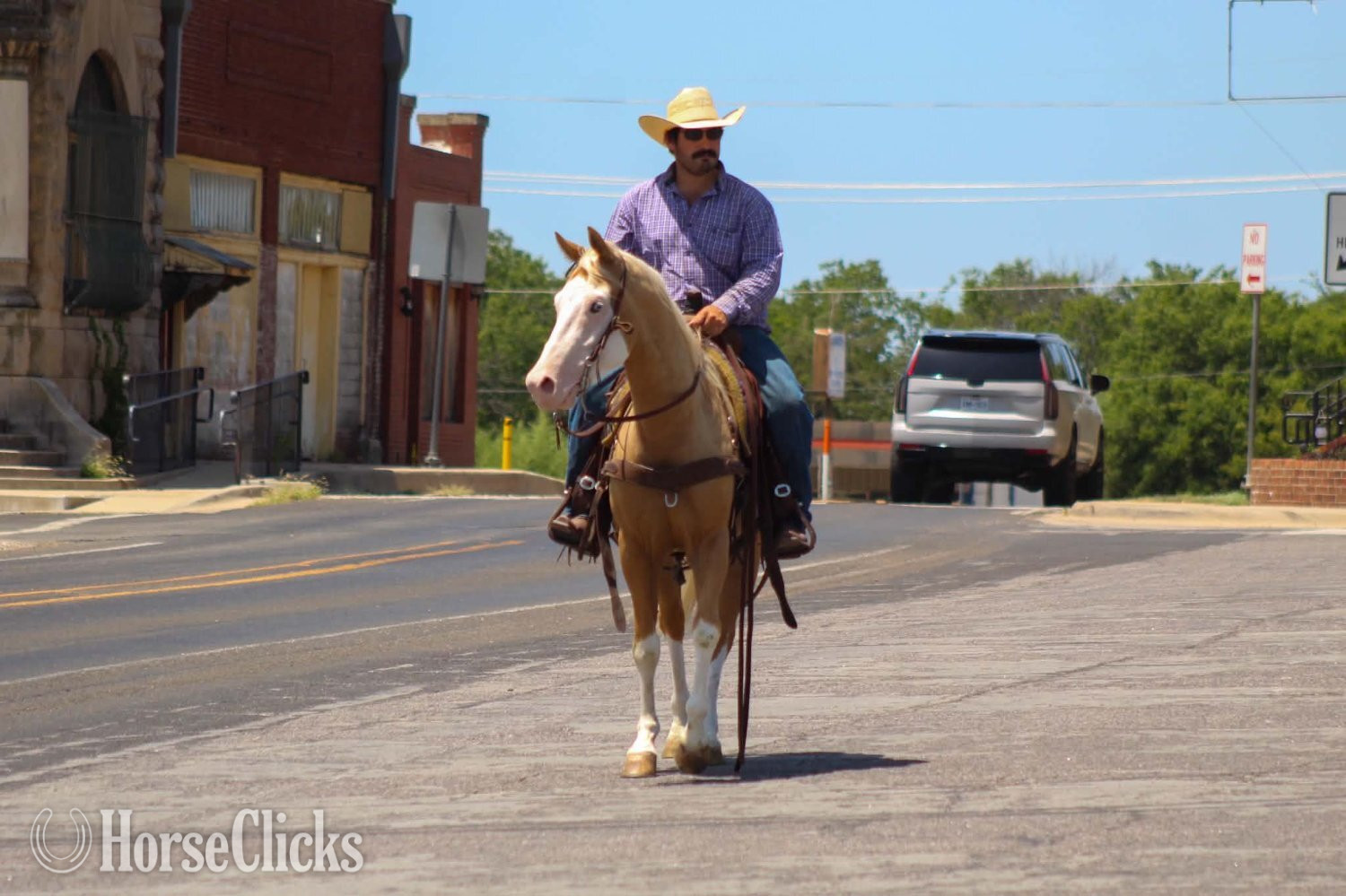 Paint - "DEWEY" Overo Gelding Paint