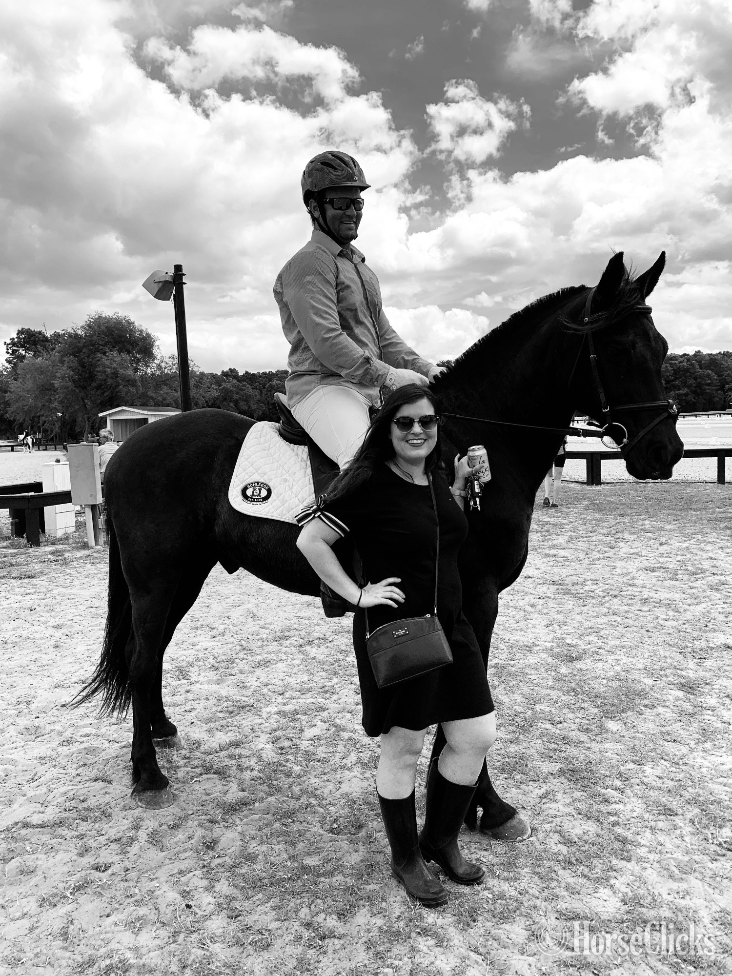 "Nate" Black Gelding Friesian