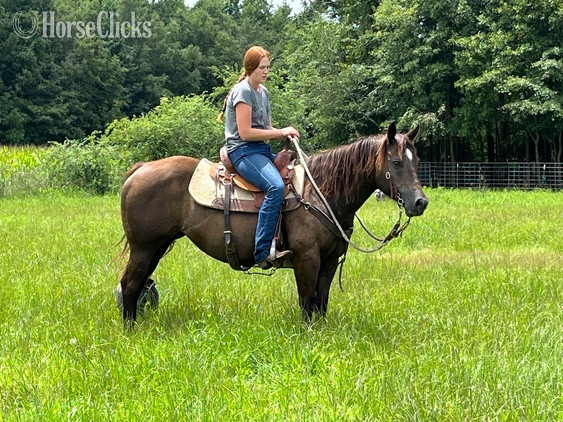 "Gypsy" Chestnut Mare Paint in South Carolina
