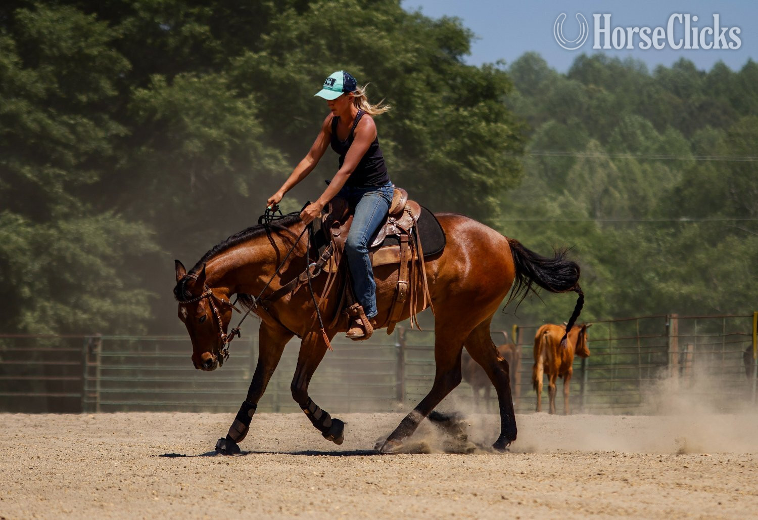 "Rowdys Lil Sneakpeek "Ember"" Bay Mare Quarter Horse in South Carolina