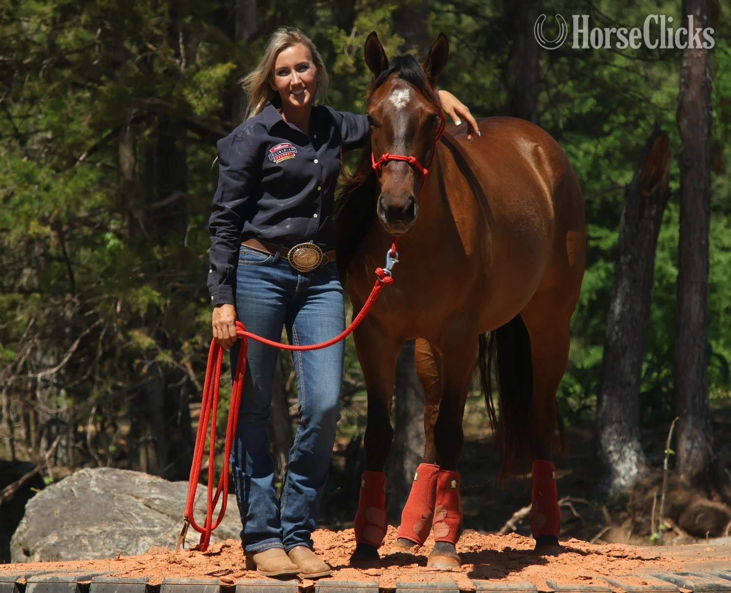 South Carolina "Rowdys Lil Sneakpeek "Ember"" Bay Mare Quarter Horse