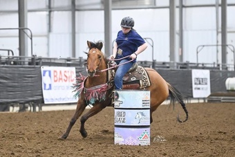 "Libbi " Dun Mare Quarter Horse