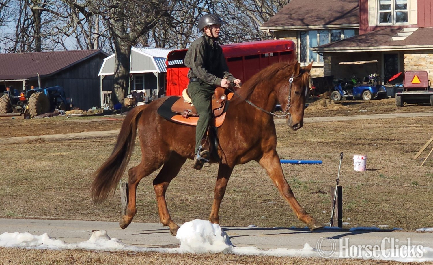 "Jose's Game Changer" Sorrel Gelding Tennessee Walker Kentucky
