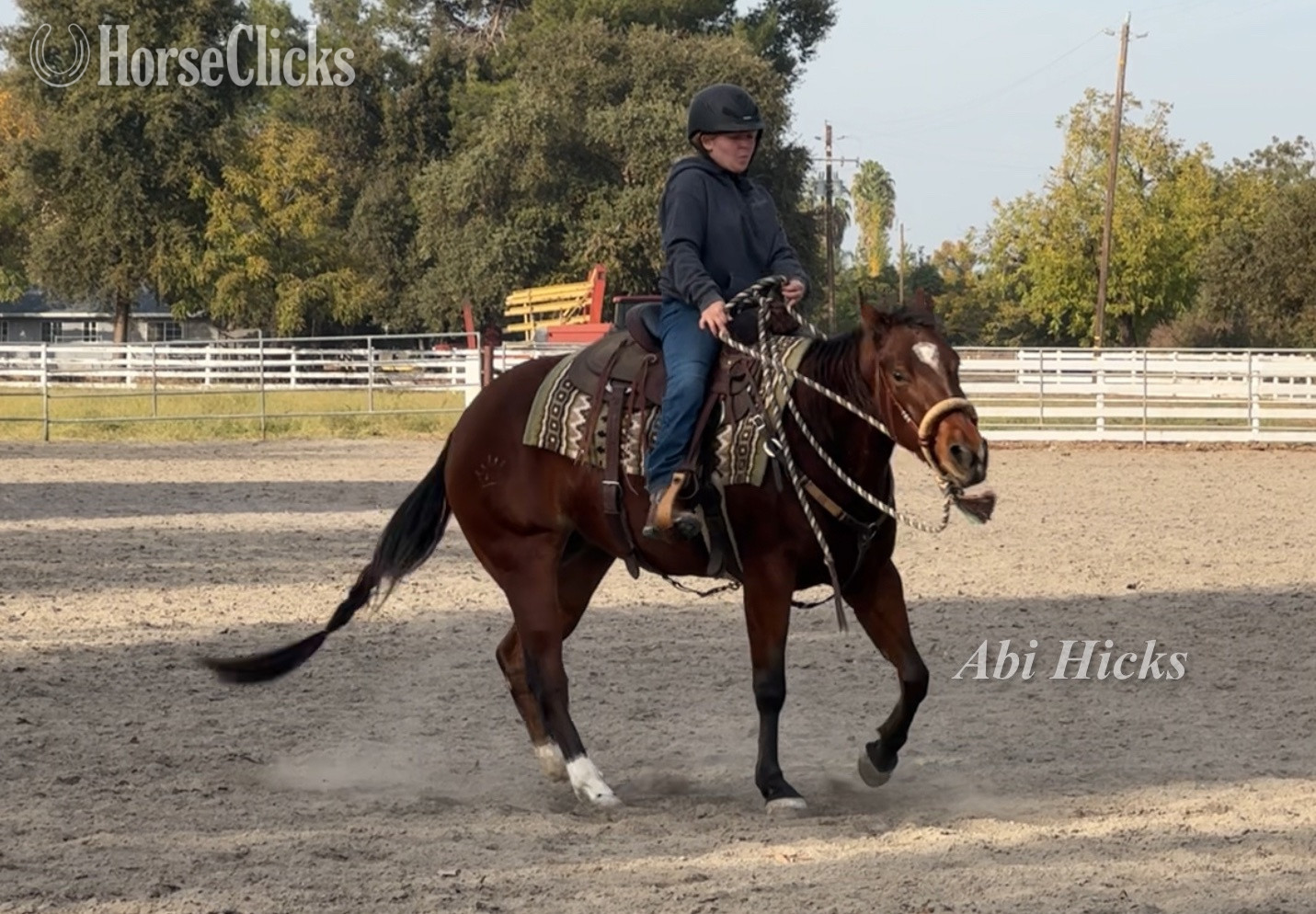 "Mini" Bay Mare Quarter Horse - Quarter Horse in California