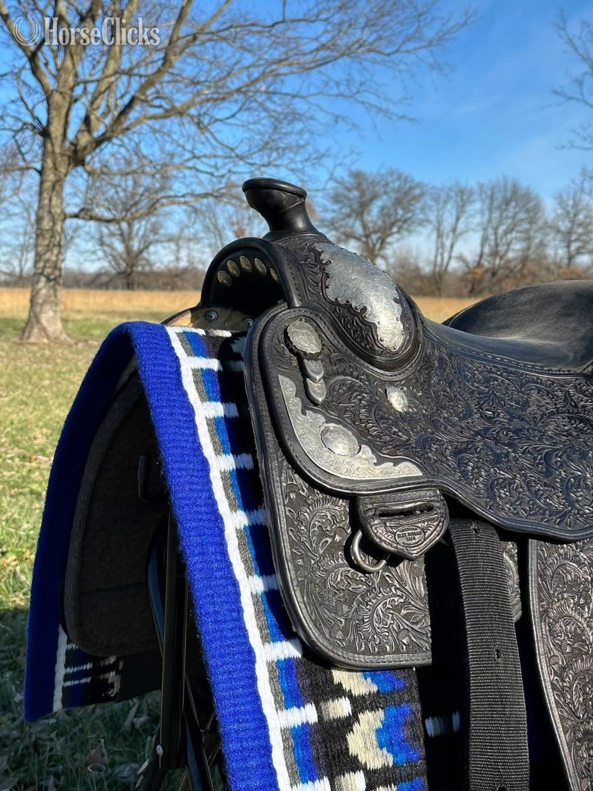 16" Australian Outrider Australian Saddle in Pennsylvania