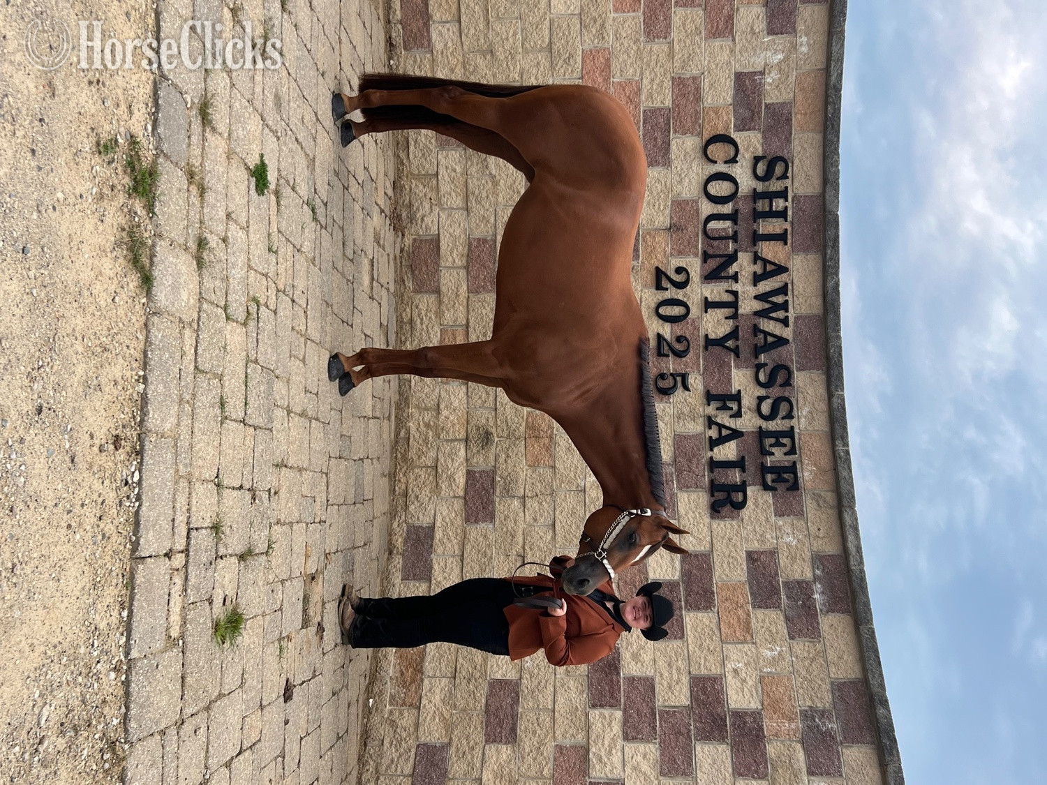 "Talkin About My Ty " Sorrel Mare Quarter Horse in Michigan