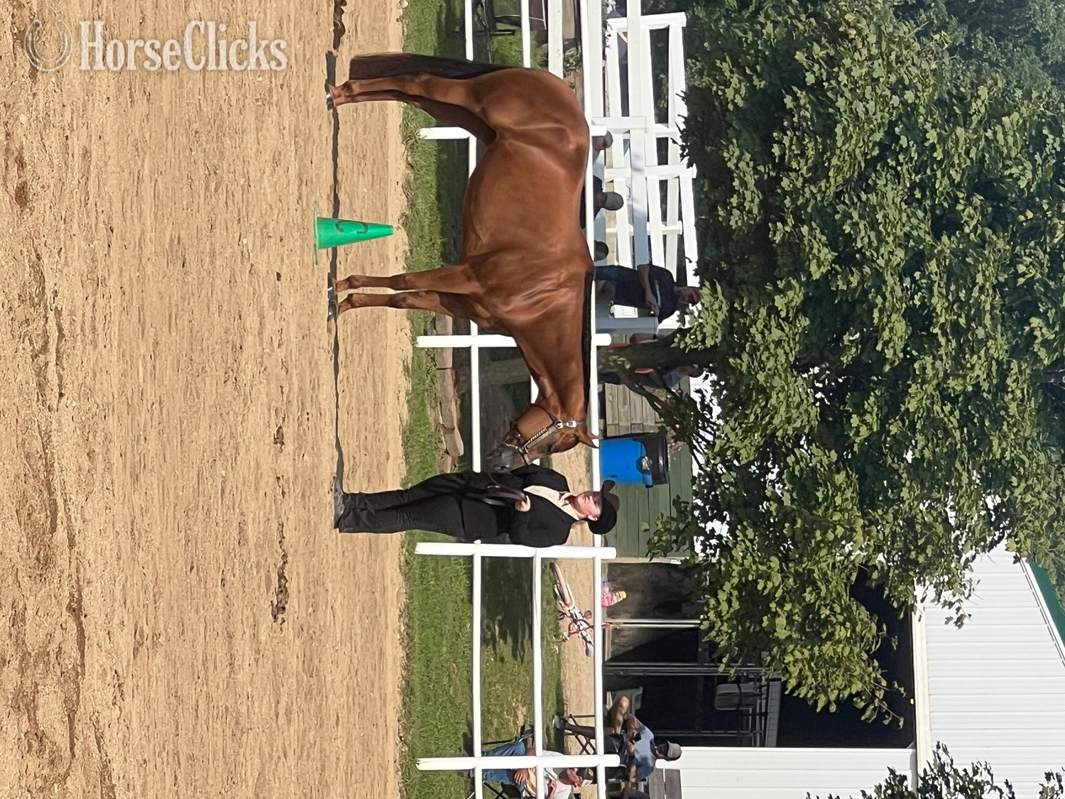 "Talkin About My Ty " Sorrel Mare Quarter Horse
