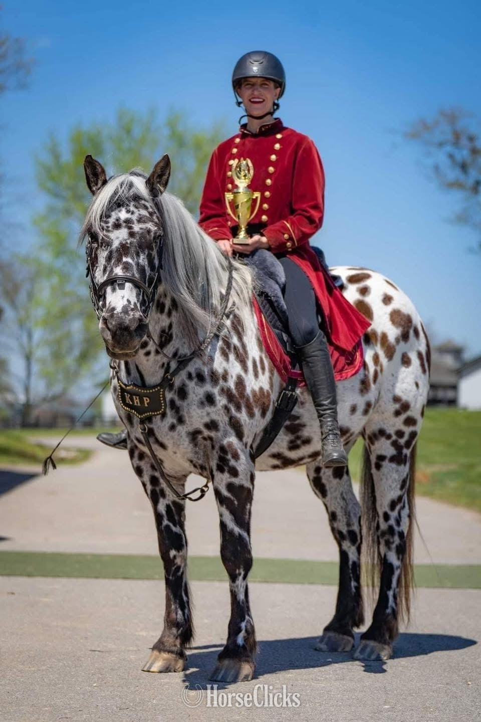 "Oberon de Fermes Boisvert" Black Gelding Sugarbush Draft in Wisconsin