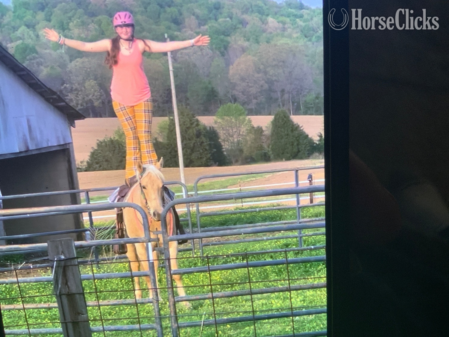 Kentucky "Missy" Palomino Mare Quarter Horse