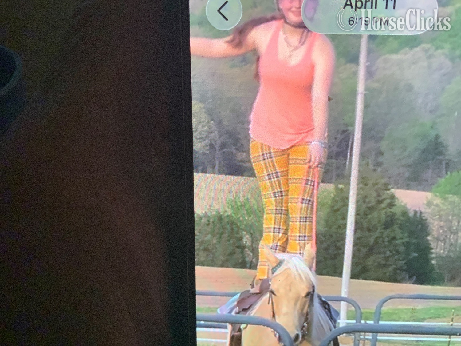 "Missy" Palomino Mare Quarter Horse - Quarter Horse in Kentucky