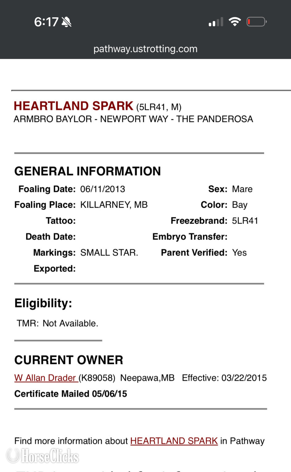 "Heartland spark " Bay Mare Standardbred in Wisconsin