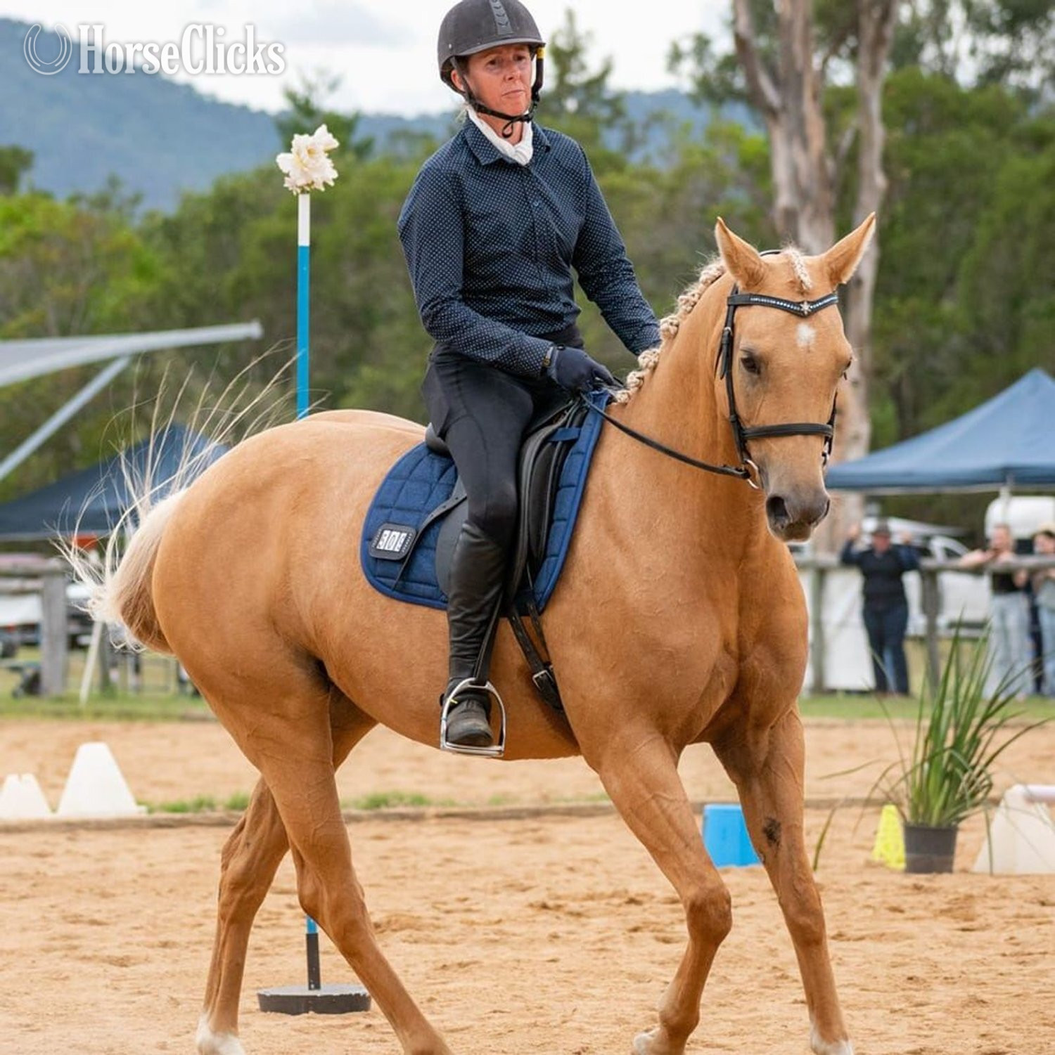 "Willow" Palomino Mare Quarter Horse in Pennsylvania
