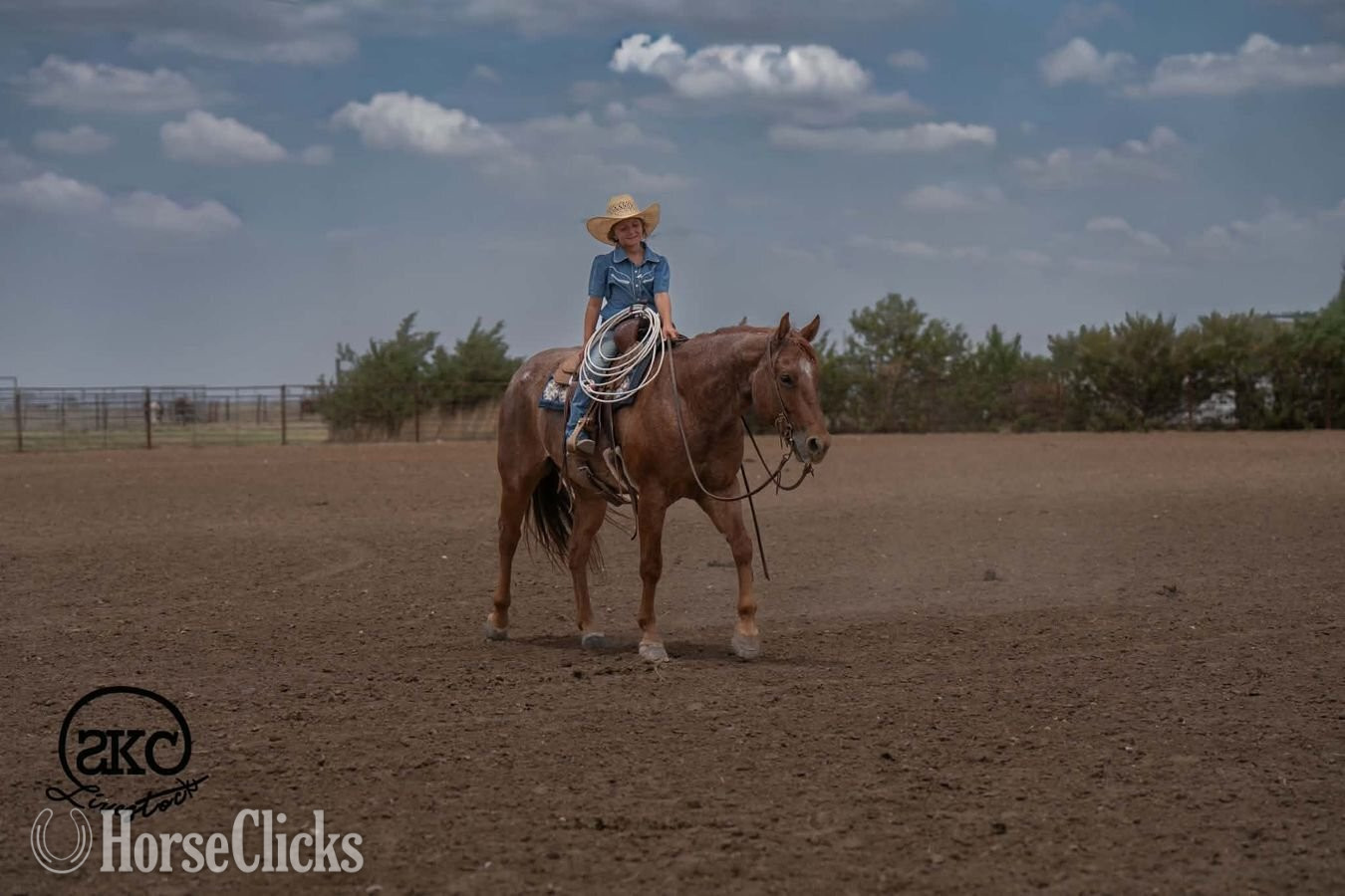 "Chimmy" Red Roan Gelding Quarter Horse Texas