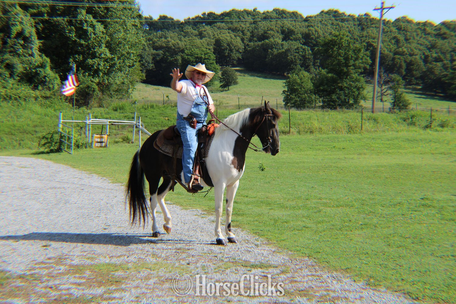 "Sundae" Pinto Mare Missouri Fox Trotter in Oklahoma