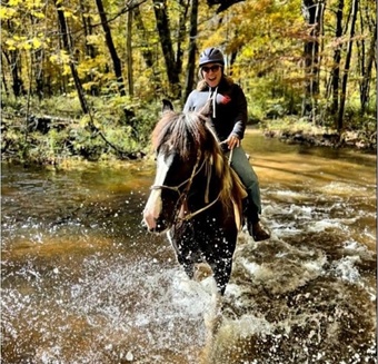 "Lorraine" Pinto Mare Paint