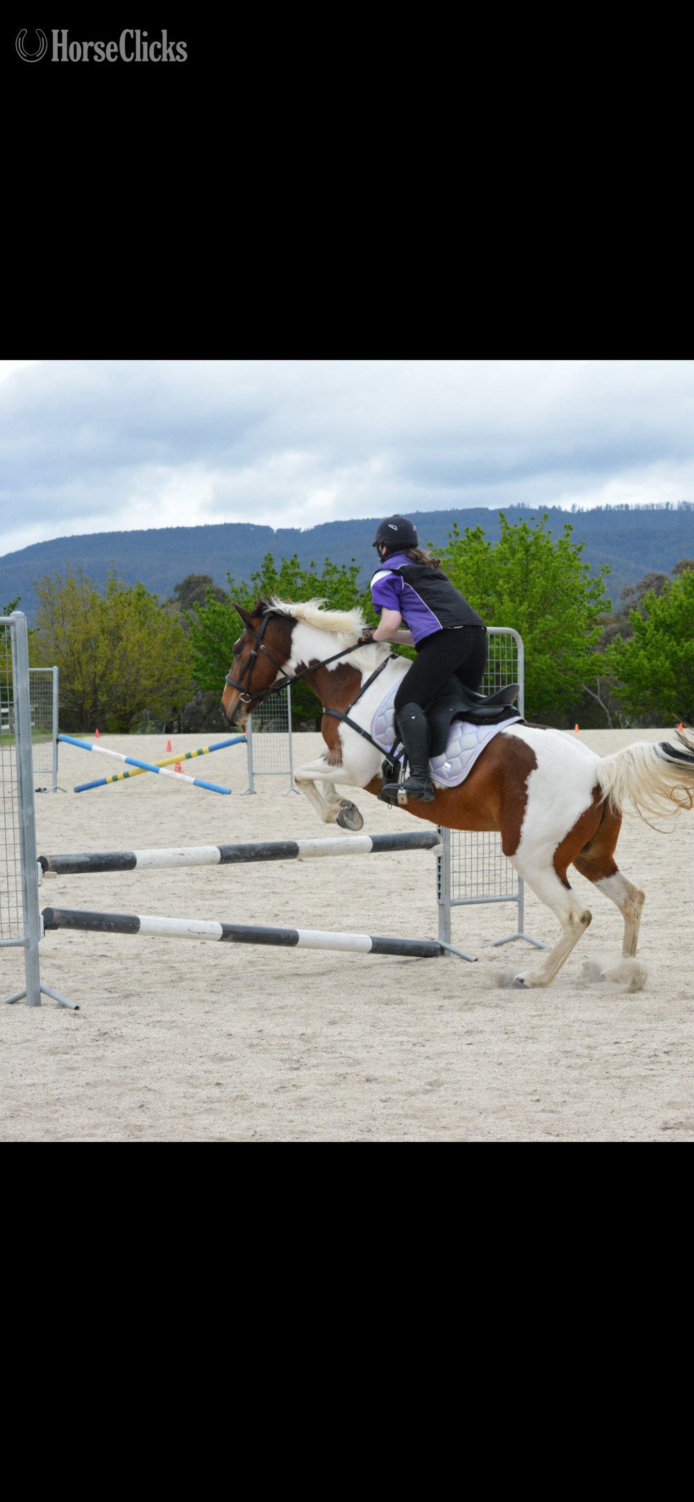 "Kelly" White Mare Quarter Horse