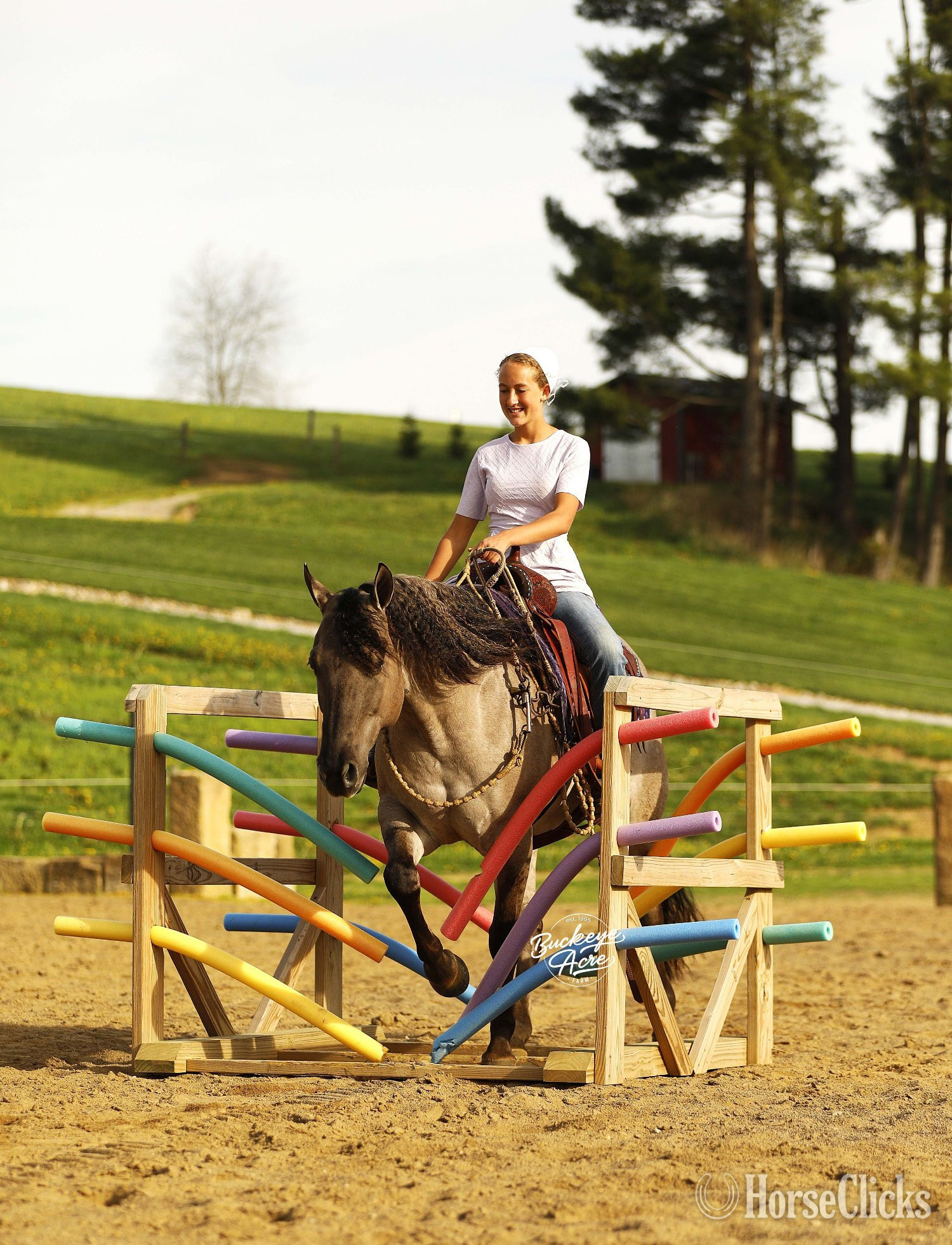 Quarter Horse - "Sandy" Grullo Gelding Quarter Horse in Ohio