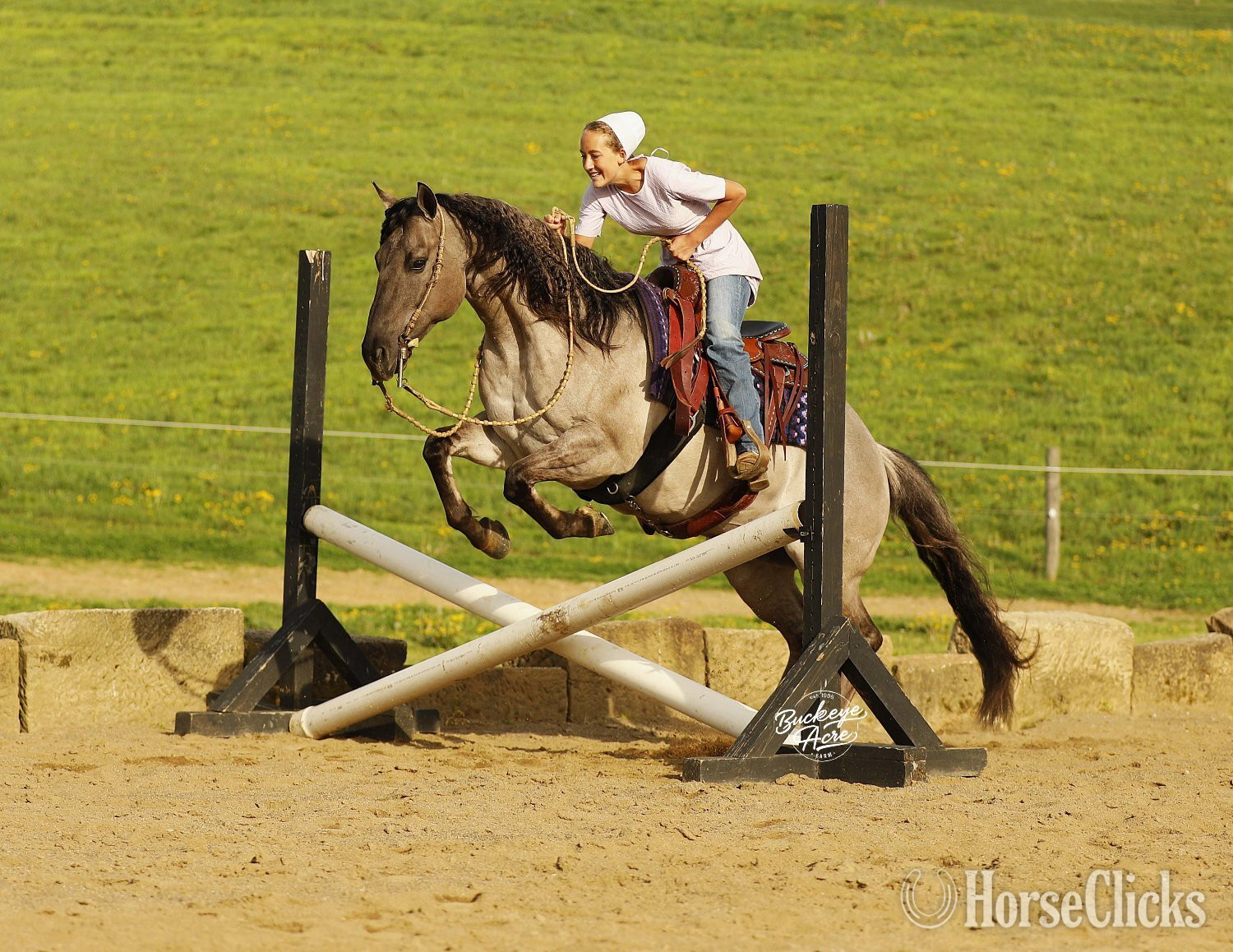 Quarter Horse - "Sandy" Grullo Gelding Quarter Horse