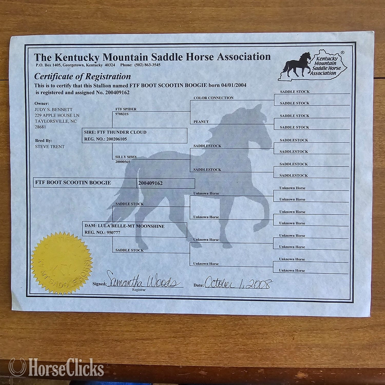 North Carolina "Boogie" Roan Gelding Kentucky Mountain