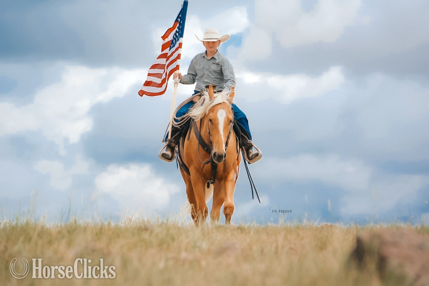 Quarter Horse - "Sunshine" Palomino Gelding Quarter Horse