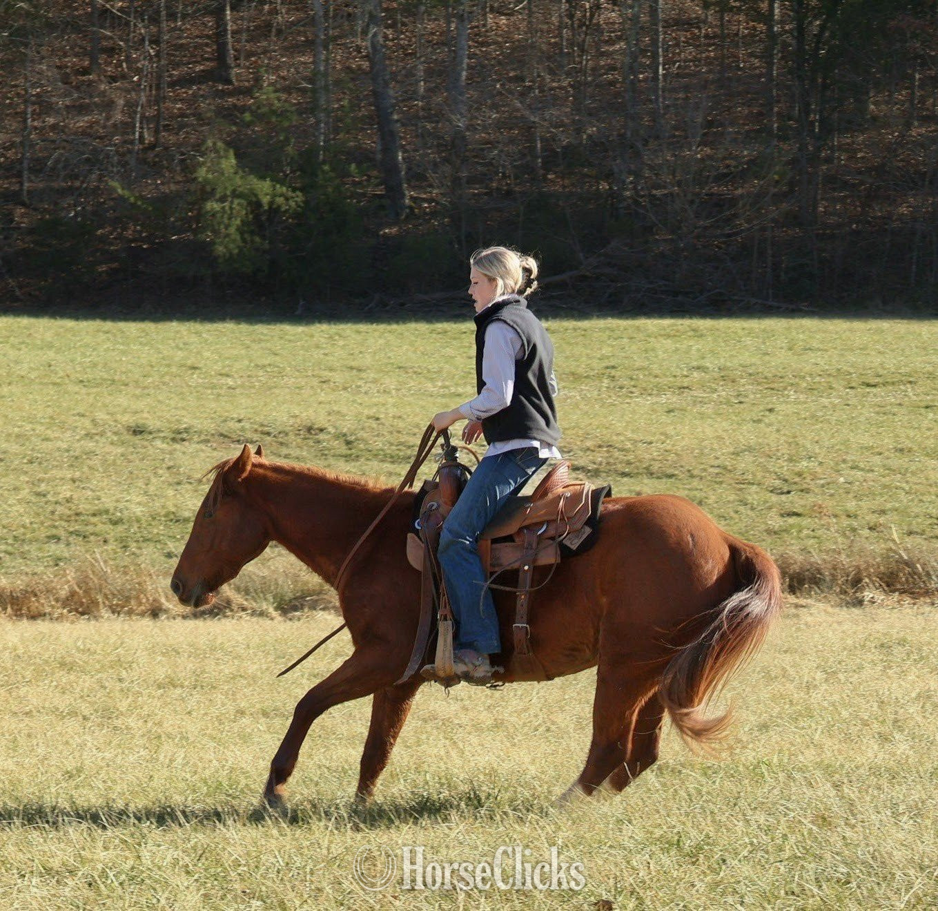 Tennessee "Three Dee Playboy " Sorrel Gelding Quarter Horse