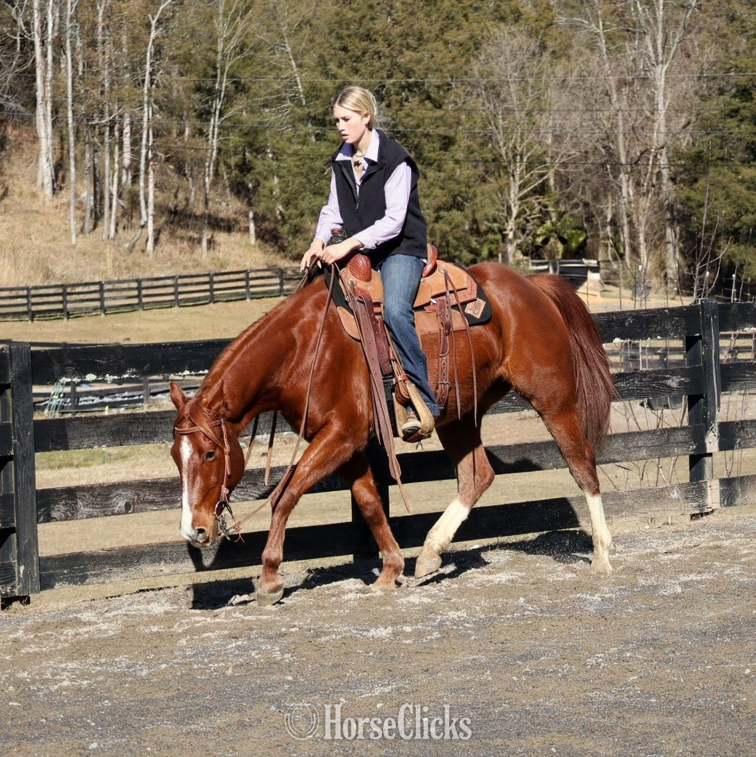 "Three Dee Playboy " Sorrel Gelding Quarter Horse - Quarter Horse in Tennessee