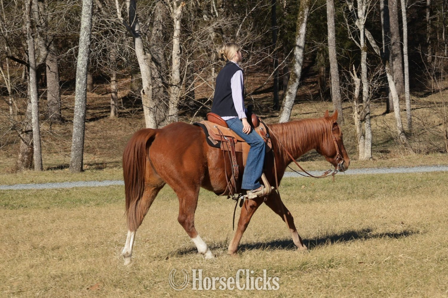 "Three Dee Playboy " Sorrel Gelding Quarter Horse - Quarter Horse