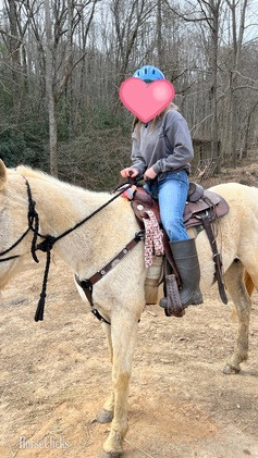 "LADY " White Mare Arabian
