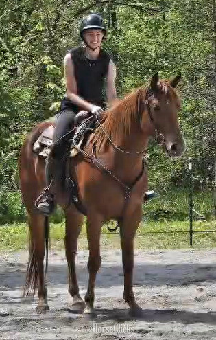 Indiana "Pocos Two Eyed Jet (Shyanne)" Sorrel Mare Appendix