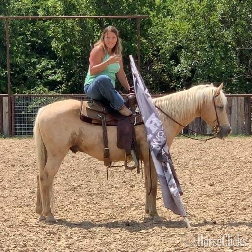  - "Captain" Palomino Gelding