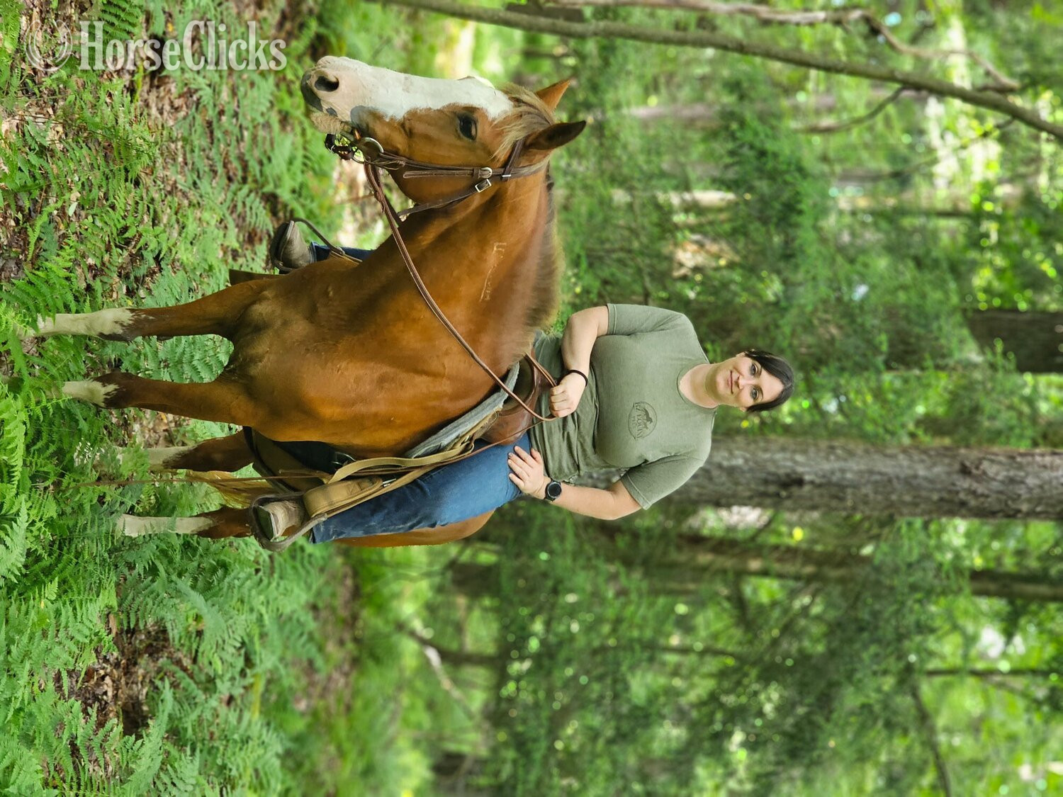 Pennsylvania "American Desert Chrome (Rogue)" Chestnut Mare Mustang