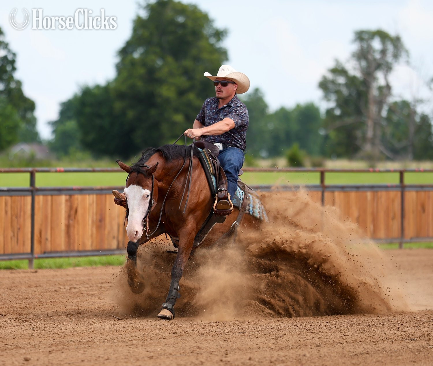 "Spooky Bay Gunner" Bay Gelding Quarter Horse - Quarter Horse in Missouri