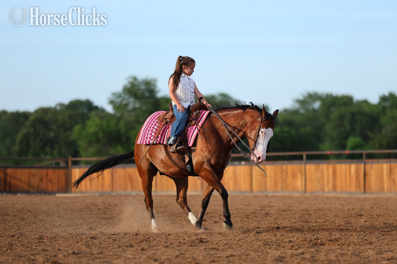 Quarter Horse - "Spooky Bay Gunner" Bay Gelding Quarter Horse in Missouri