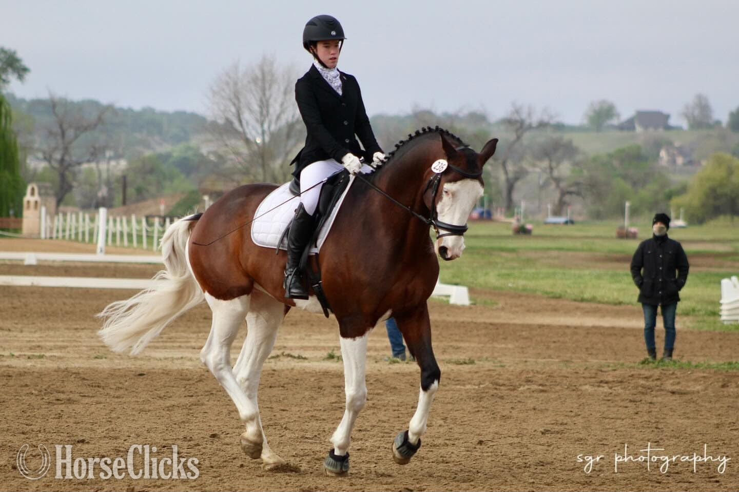 "sargon" Tabiano Gelding Holsteiner in South Carolina