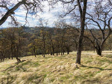 5 acre property is fenced