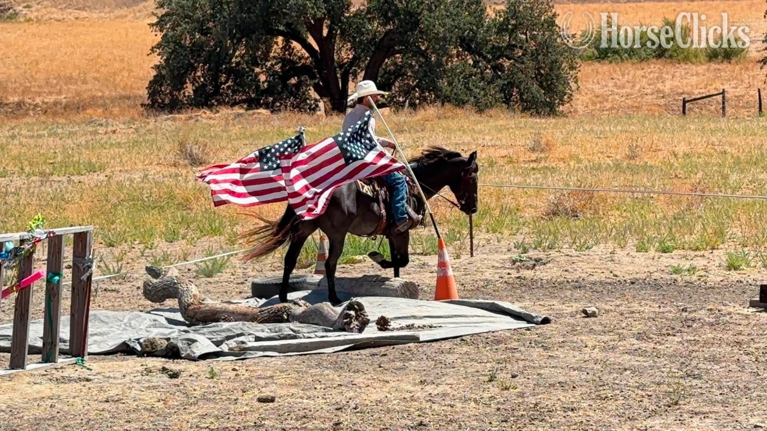 Quarter Horse - "WRANGLERS A DRIFTER" Buckskin Gelding Quarter Horse