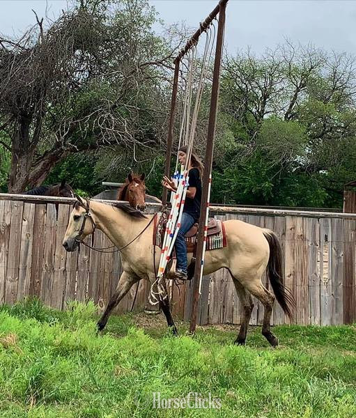 "Tang" Buckskin Gelding Quarter Horse Texas