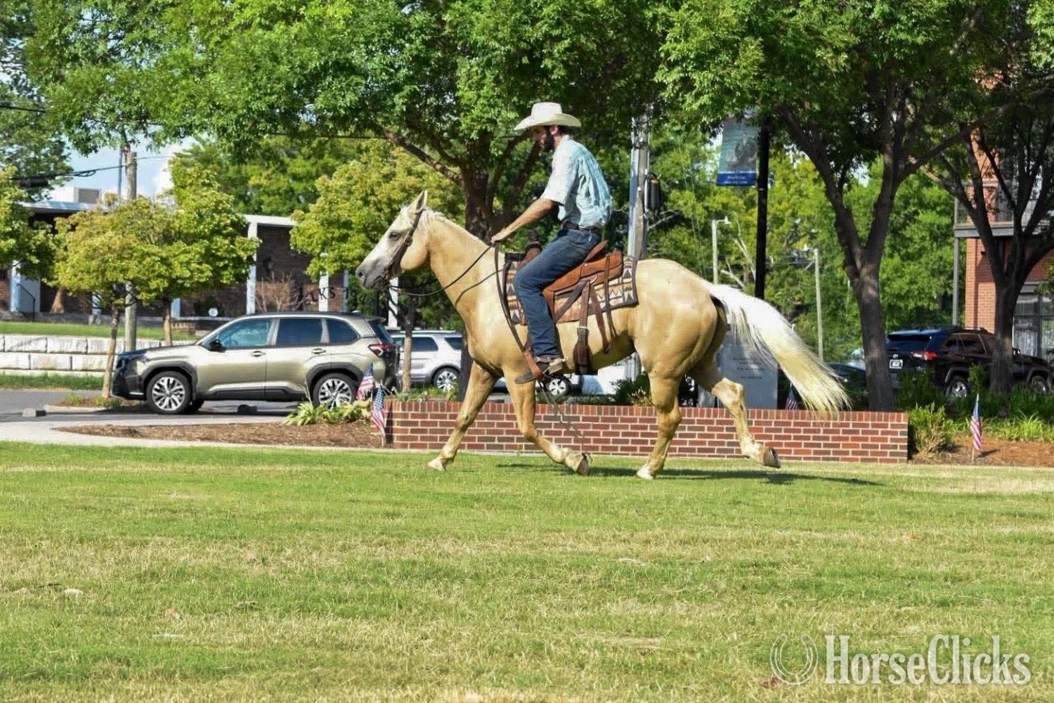 "AXLE" Palomino Gelding Quarter Horse - Quarter Horse in Tennessee