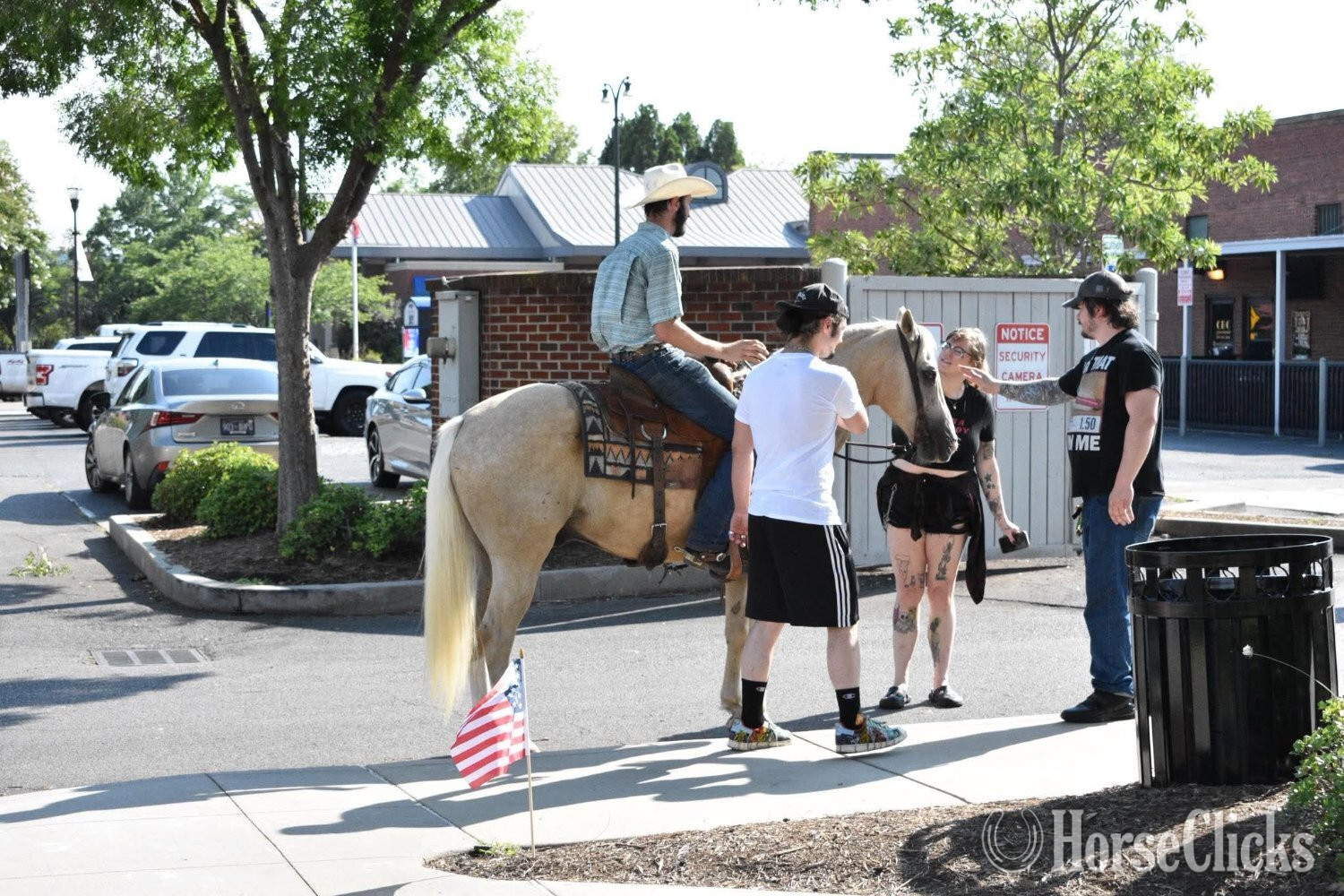 "AXLE" Palomino Gelding Quarter Horse - Quarter Horse